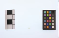 Foto von Diamant (NHMW-MIN-Ab2752)